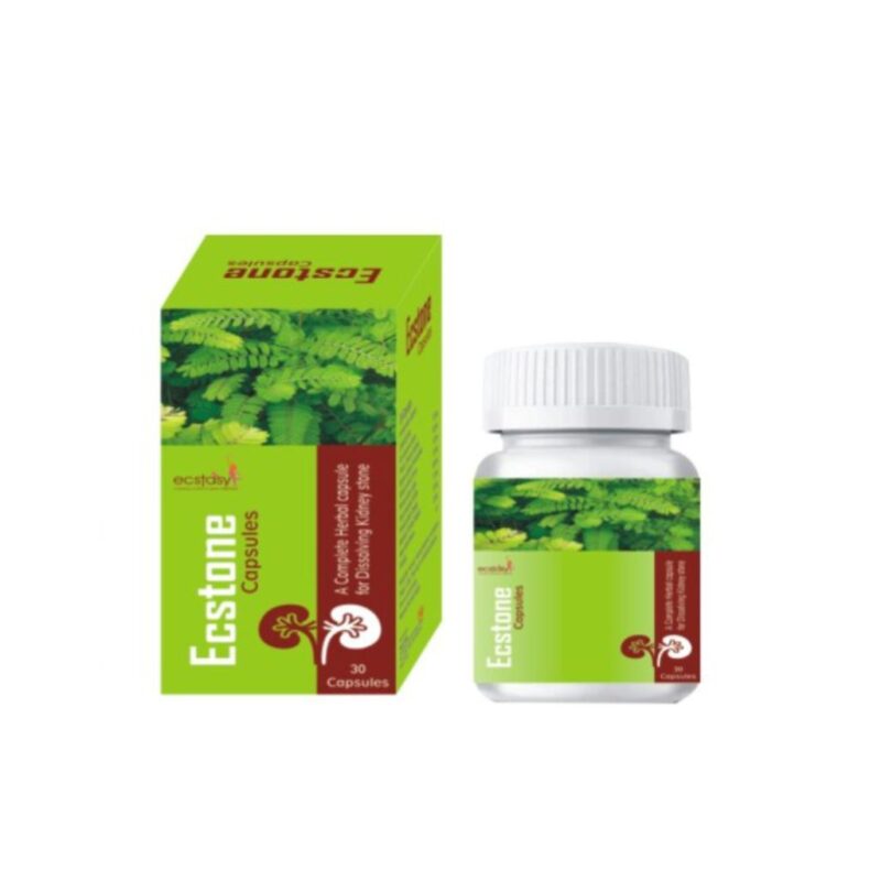 ECSTONE