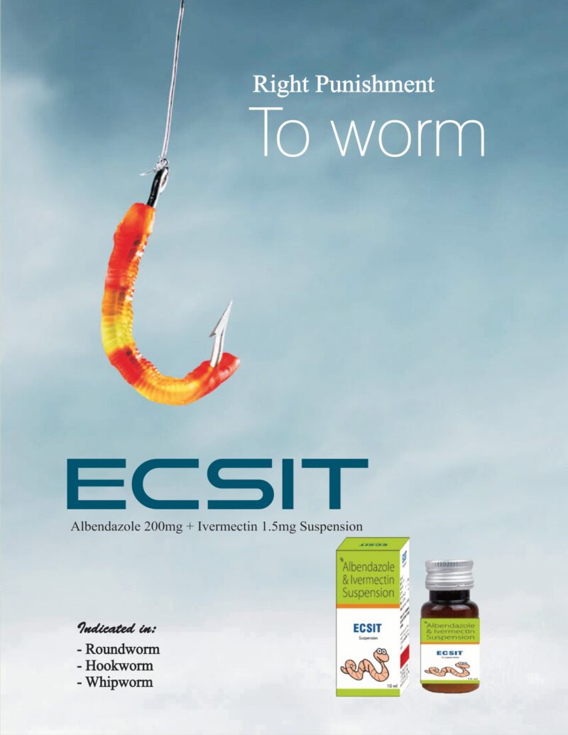 ECSIT