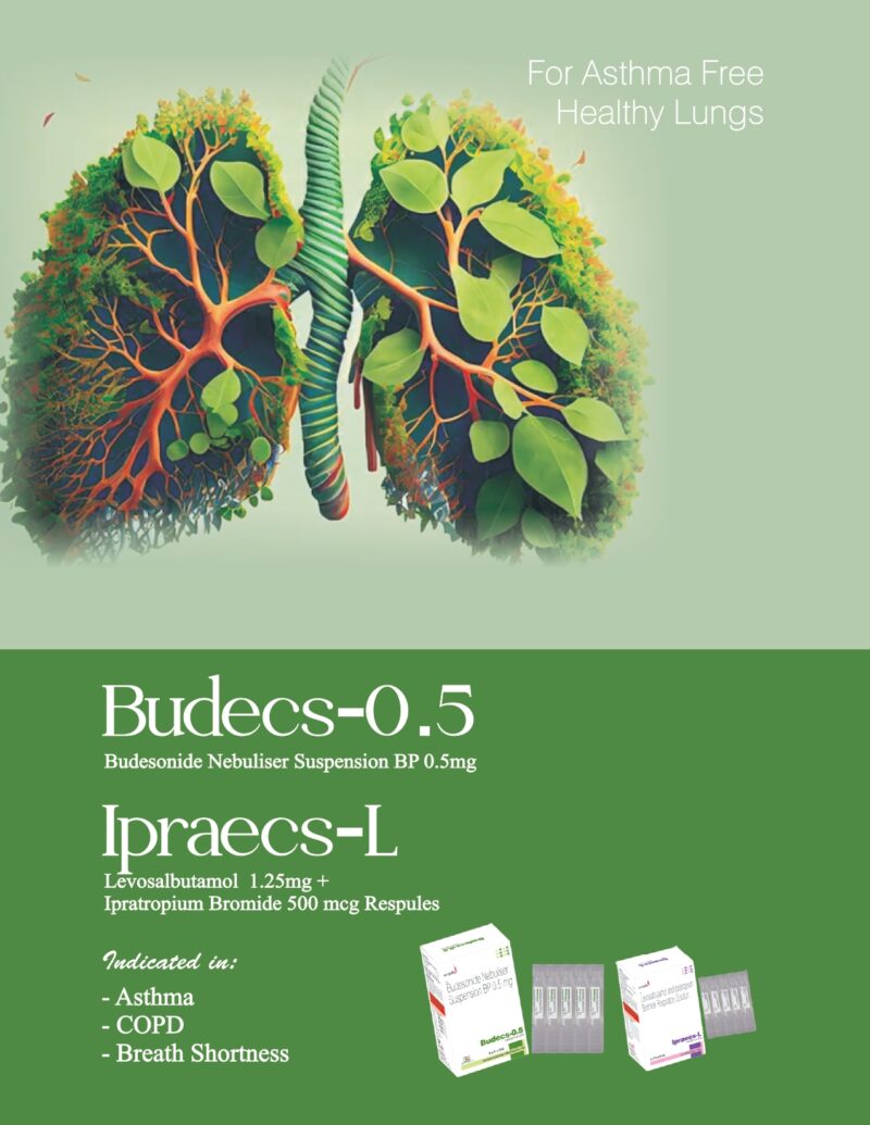 BUDECS 0.5