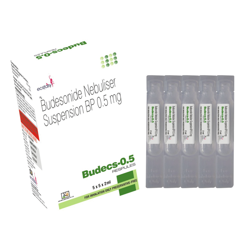 BUDECS 0.5